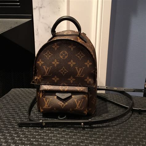 lv bagpack mini|palm springs backpack mini price.